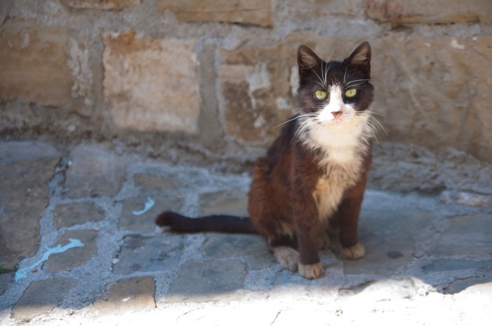 Piran, Slovenia (33)