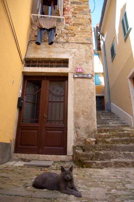 Piran, Slovenia (14)