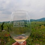 Brda Dok Wine Day Slovenia (41)