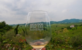 Brda Dok Wine Day Slovenia 2012