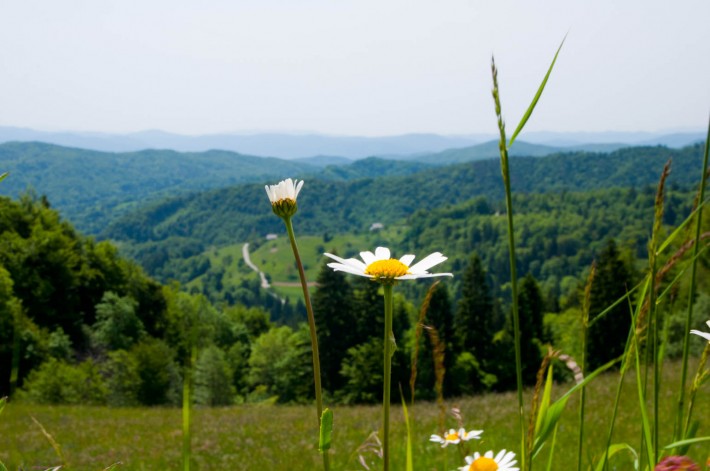 Sveti Katarina hike