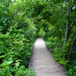 Plitvice Lakes, Croatia (21)