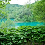 Plitvice Lakes, Croatia (6)