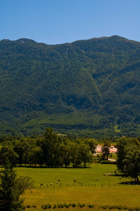 Soča River-Bove? Slovenia (2)