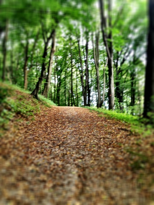 Trail Run to Ljubljanski Grad