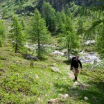 Saoseo Switzerland Hiking the Alps (108)