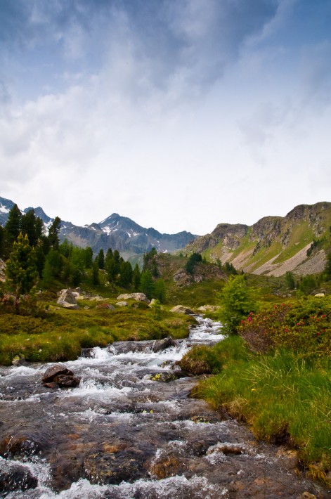 Saoseo Switzerland Hiking the Alps (79)