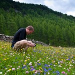 Saoseo Switzerland Hiking the Alps (87)