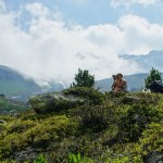 Saoseo Switzerland Hiking the Alps (23)