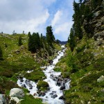 Saoseo Switzerland Hiking the Alps (17)