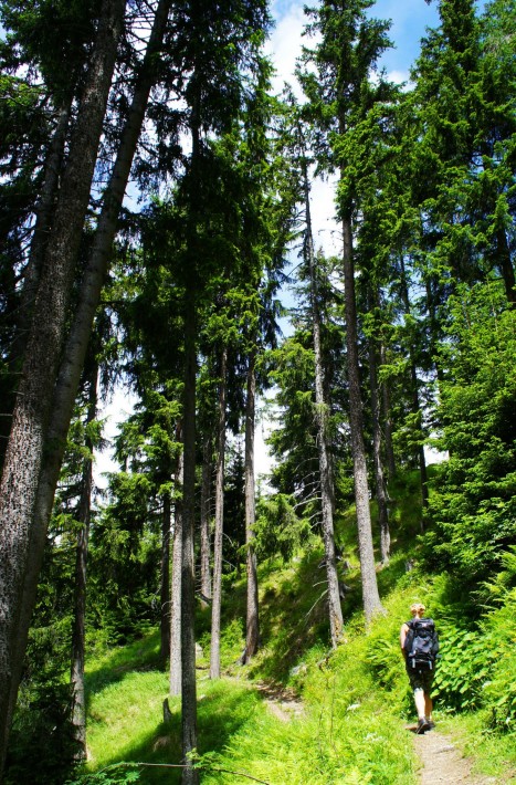 Saoseo Switzerland Hiking the Alps (7)