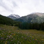 Saoseo Switzerland Hiking the Alps (130)