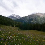 Saoseo Switzerland Hiking the Alps (130)