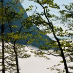 Morning Fog - Seven Lakes- Slovenia