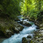 Vintgar Gorge, Slovenia