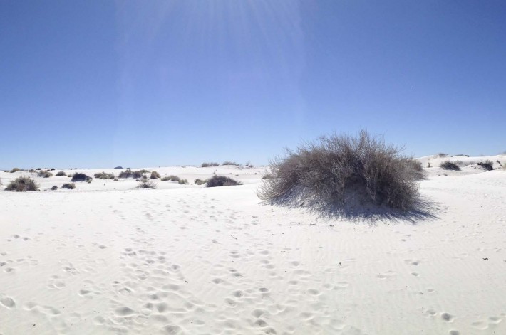 2013-02-Road-Trip-White Sands14