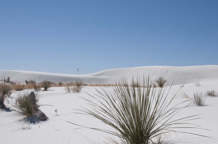 2013-02-Road-Trip-White Sands2