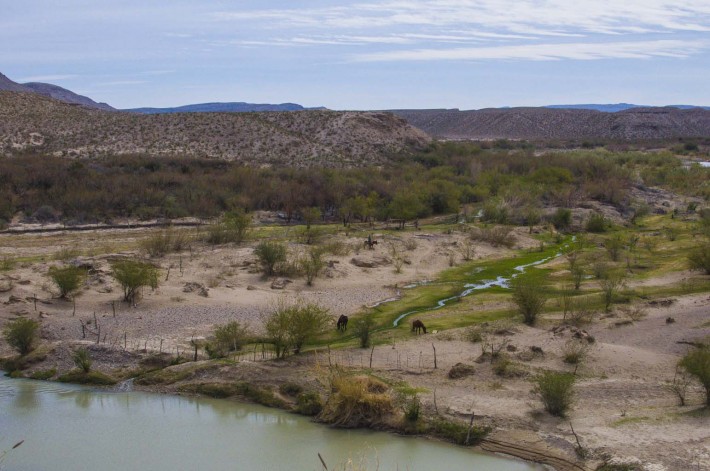 2013-02-Road_Trip-Big_Bend10