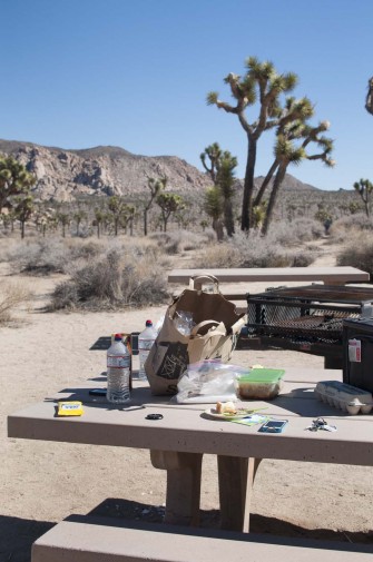 2013-02-Road_Trip-Joshua_Tree1