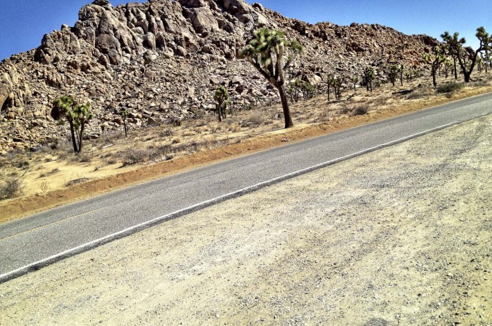 2013-02-Road_Trip-Joshua_Tree7