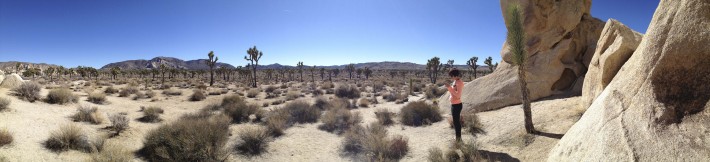 2013-02-Road_Trip-Joshua_Tree8